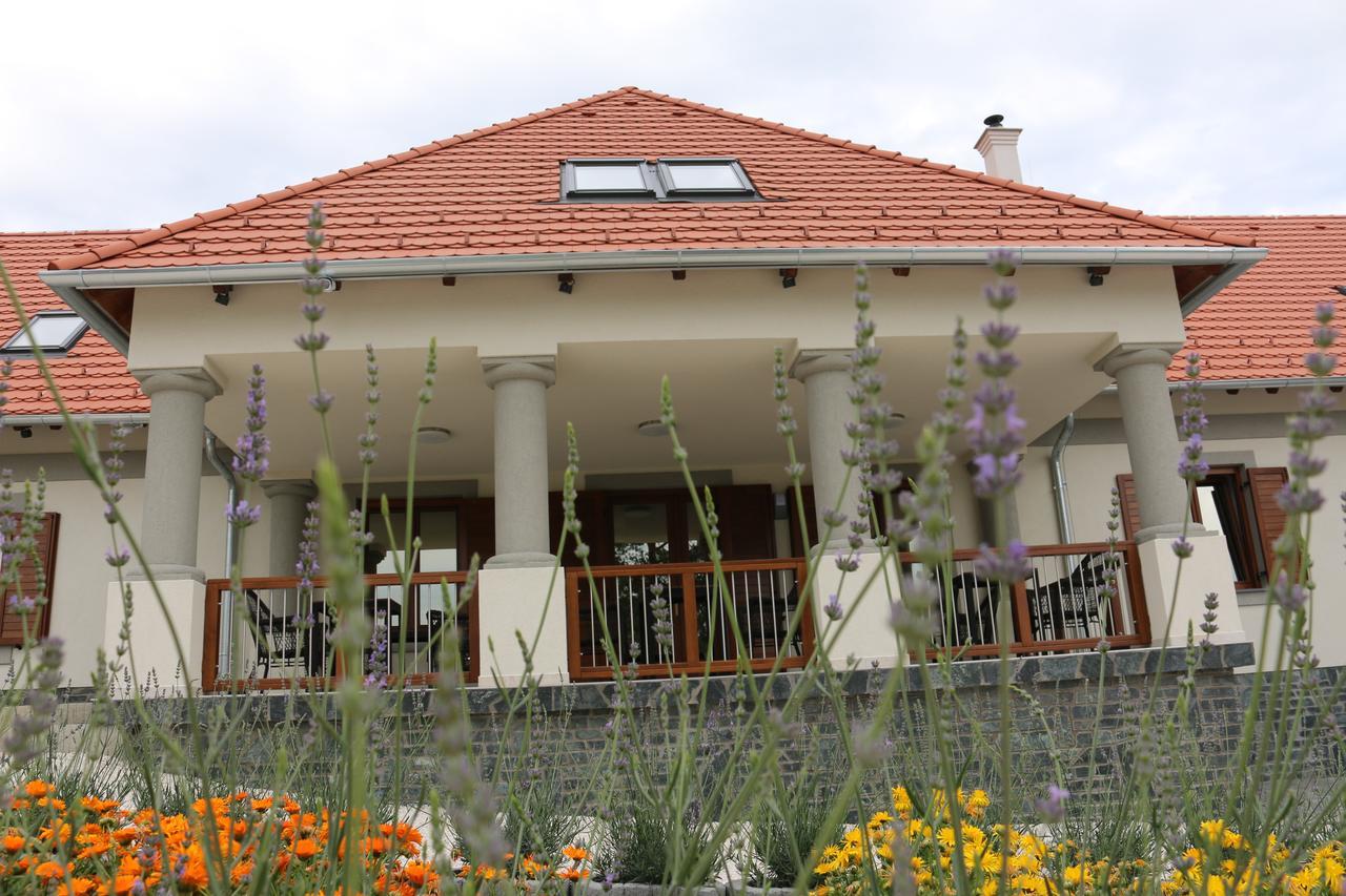 Villa Tolnay Vendeghaz Gyulakeszi Exterior photo